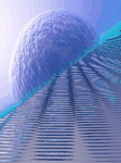 pic for abstract 3d